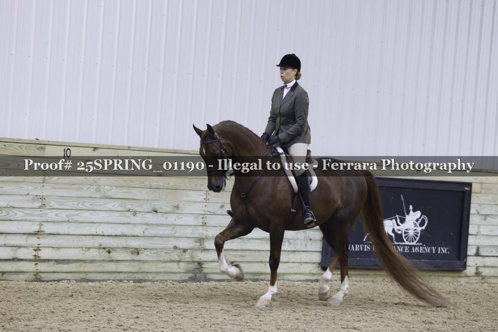 Proof Number 25SPRING_01190