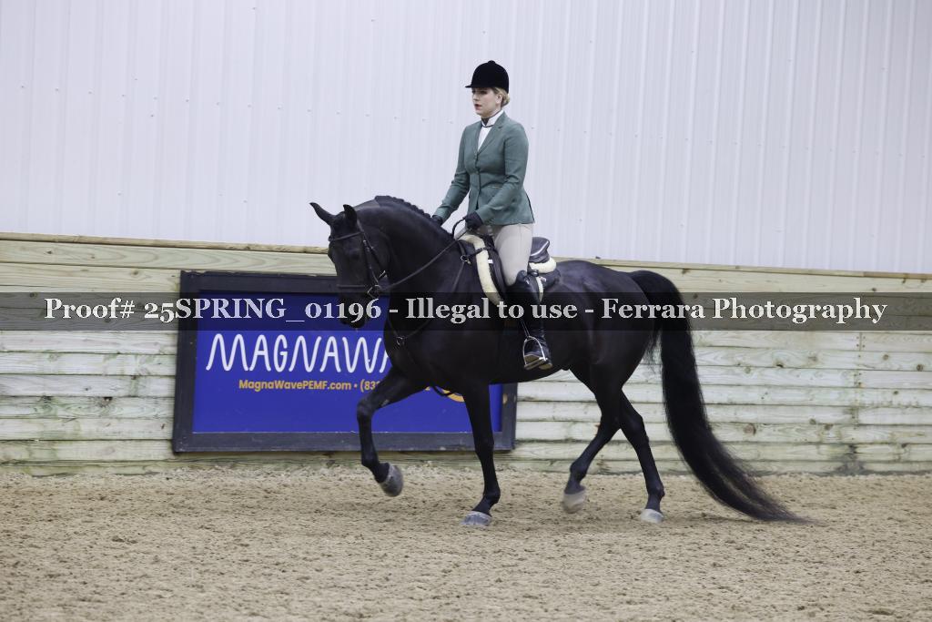 Proof Number 25SPRING_01196