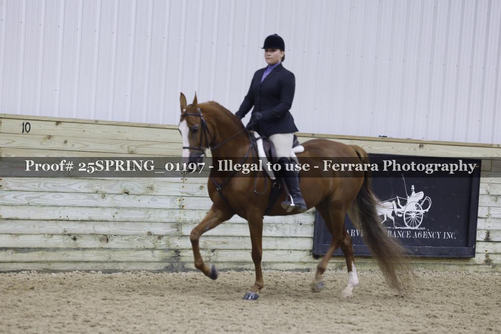 Proof Number 25SPRING_01197