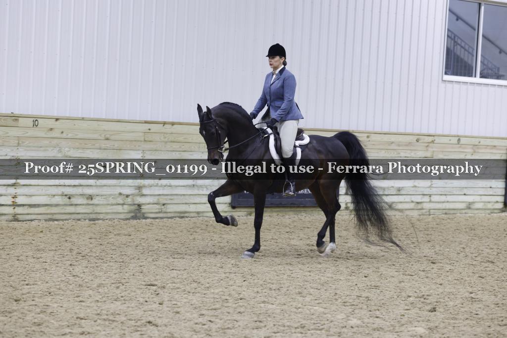 Proof Number 25SPRING_01199