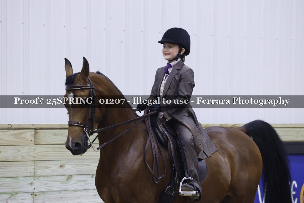 Proof Number 25SPRING_01207