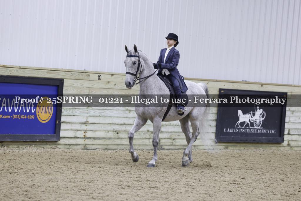 Proof Number 25SPRING_01221