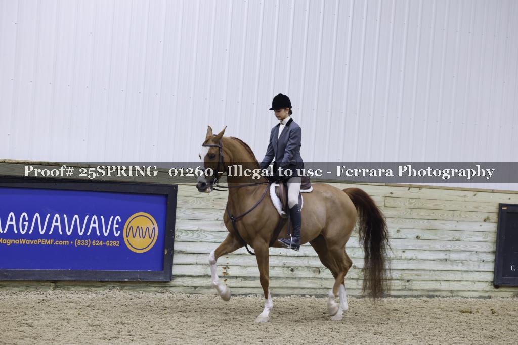 Proof Number 25SPRING_01260