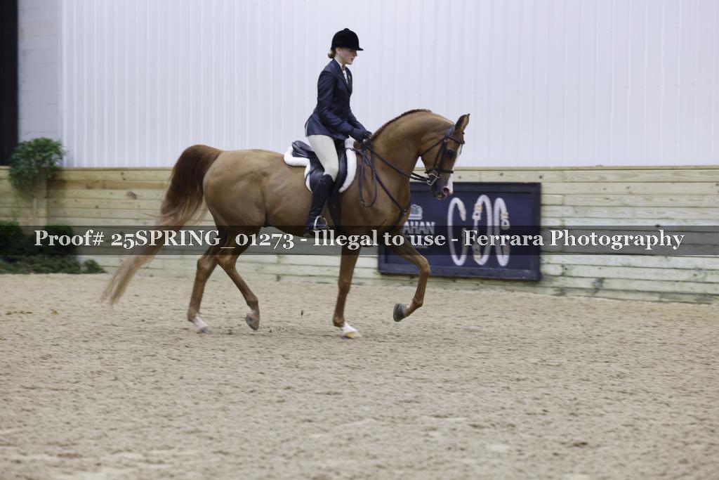 Proof Number 25SPRING_01273