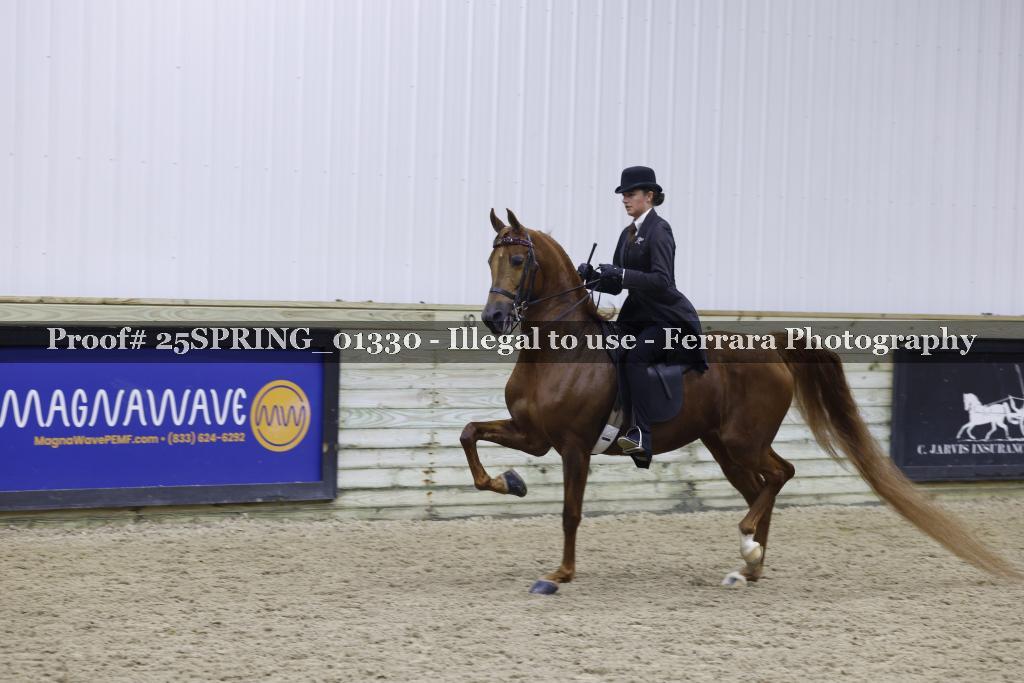 Proof Number 25SPRING_01330
