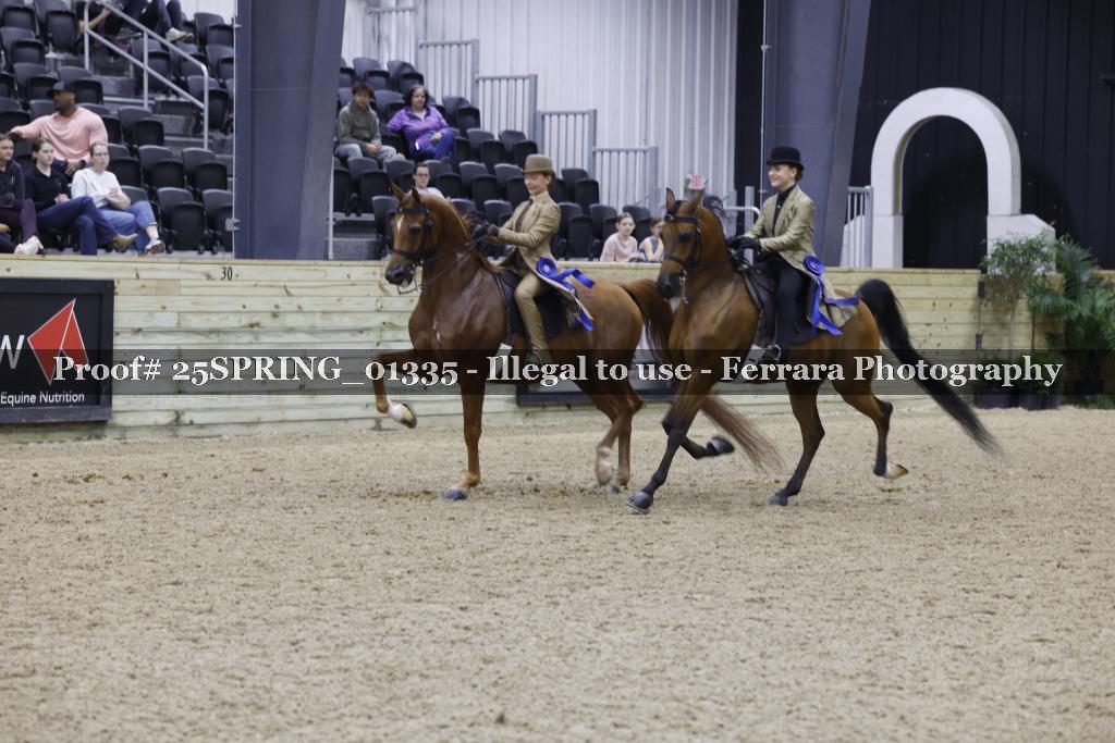 Proof Number 25SPRING_01335