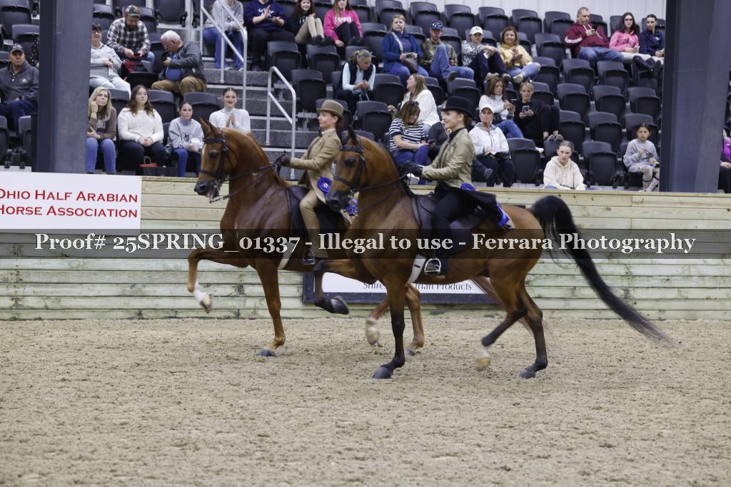 Proof Number 25SPRING_01337
