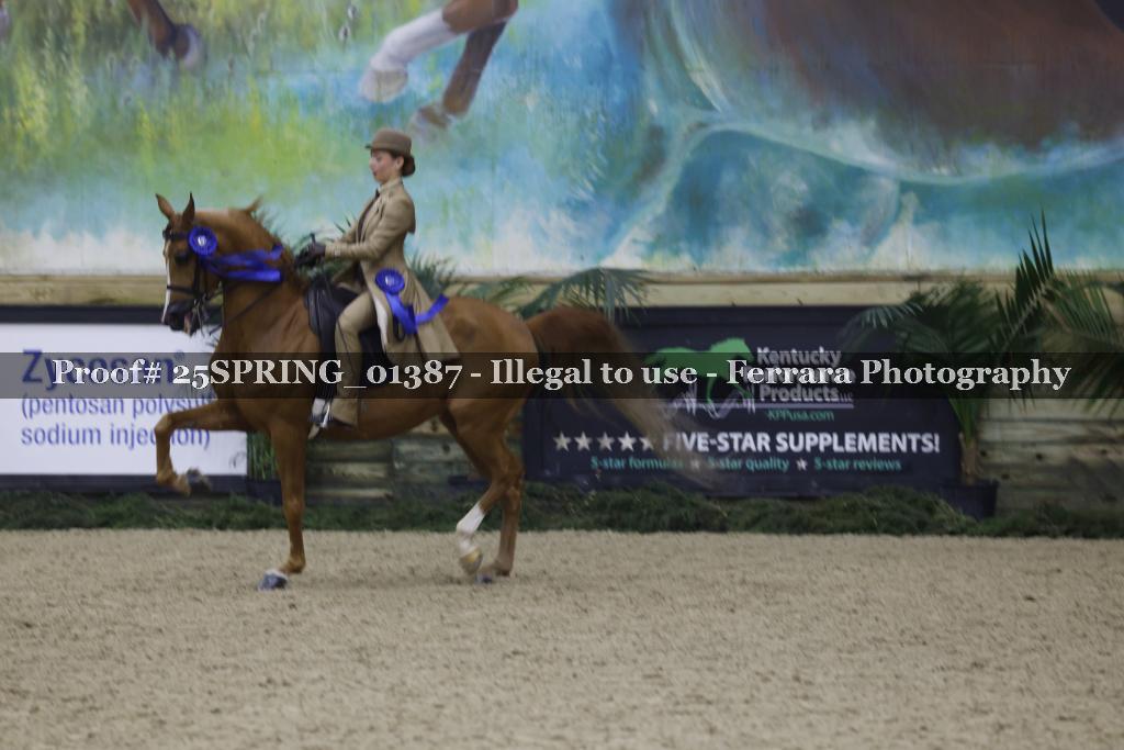 Proof Number 25SPRING_01387