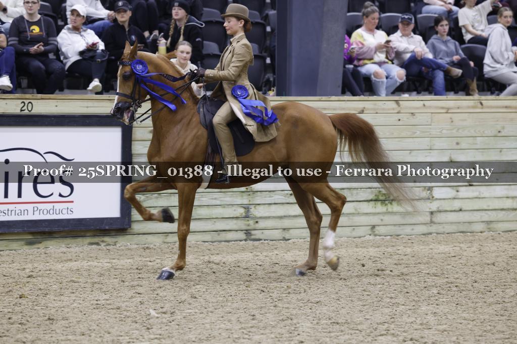Proof Number 25SPRING_01388