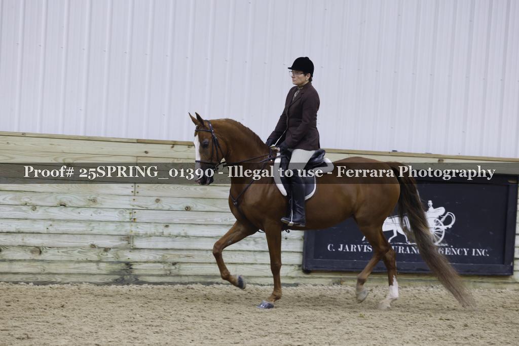 Proof Number 25SPRING_01390
