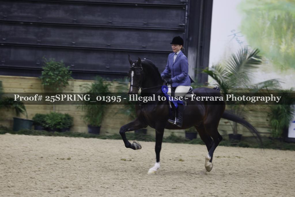 Proof Number 25SPRING_01395