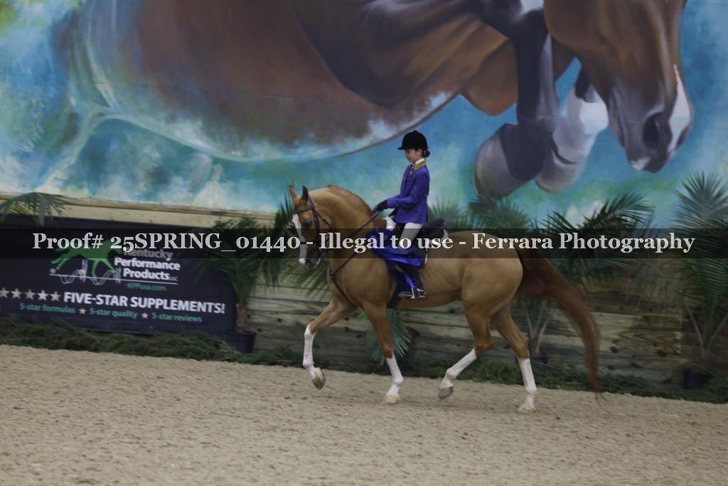Proof Number 25SPRING_01440