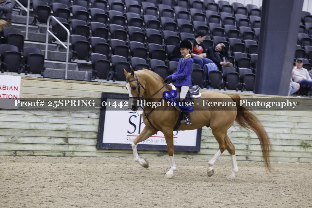 Proof Number 25SPRING_01442