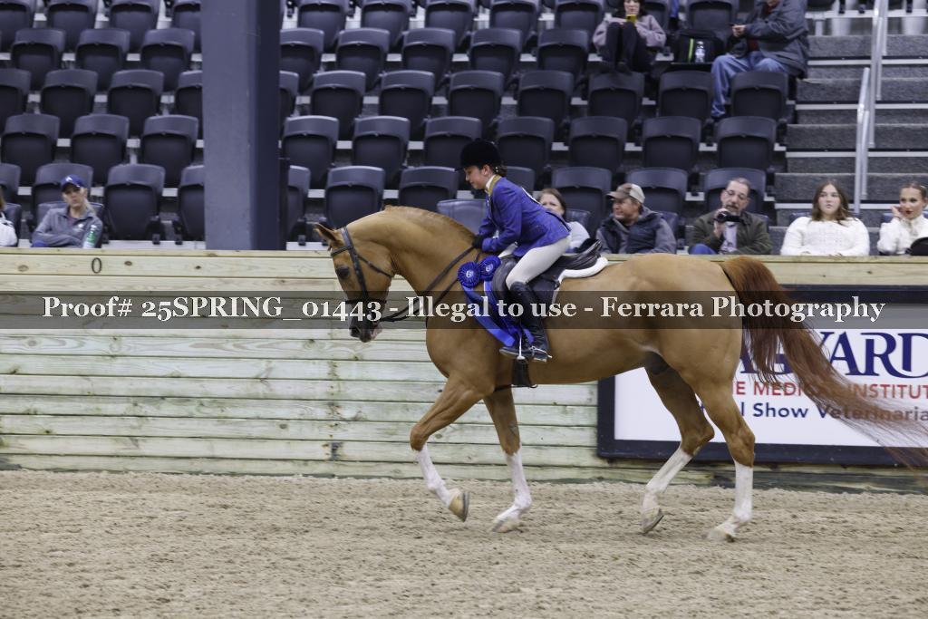 Proof Number 25SPRING_01443