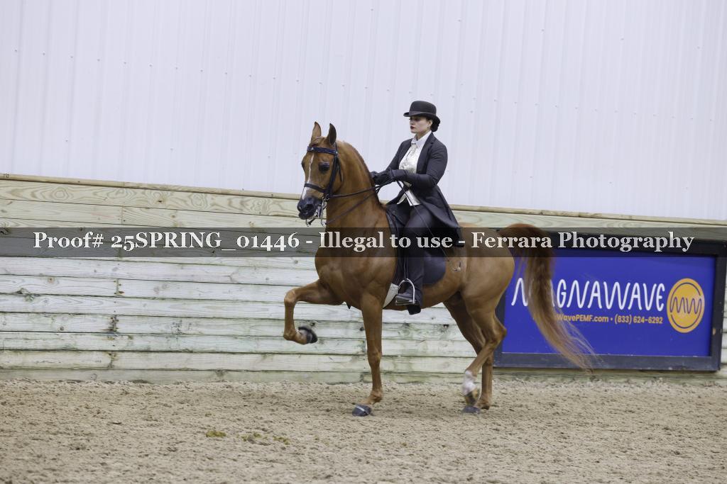 Proof Number 25SPRING_01446