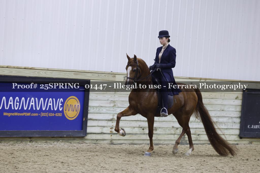 Proof Number 25SPRING_01447