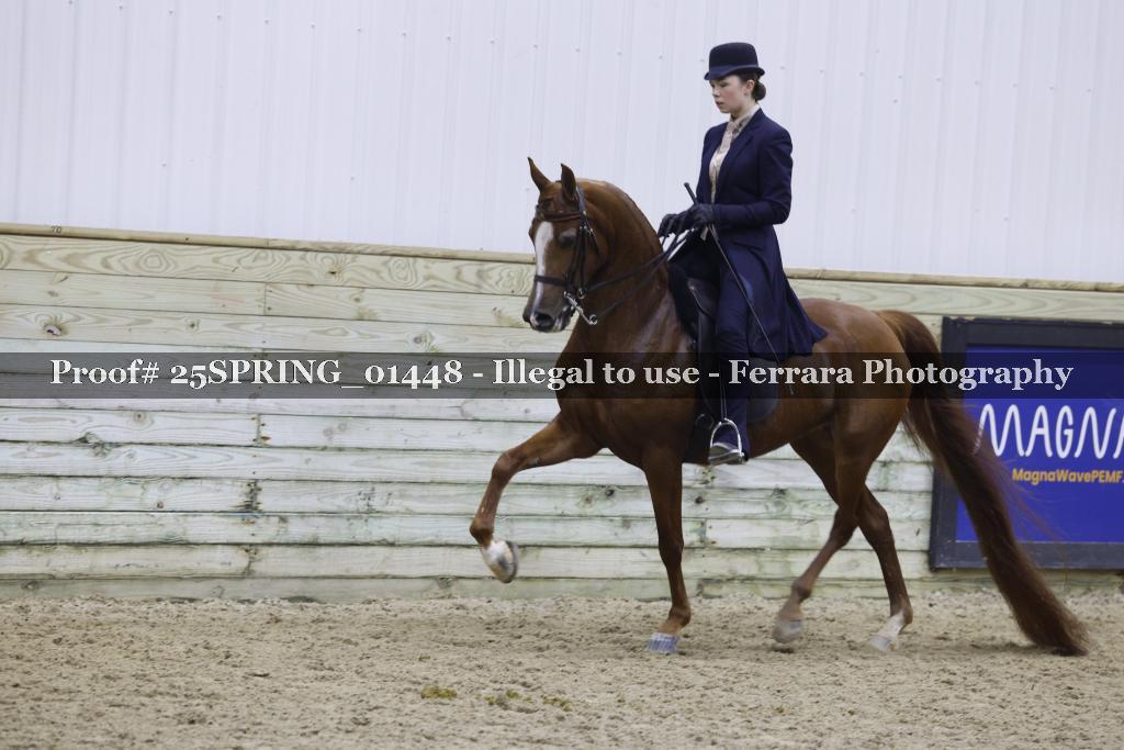 Proof Number 25SPRING_01448