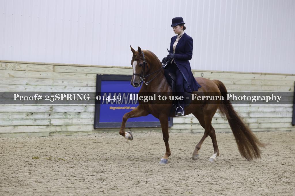Proof Number 25SPRING_01449