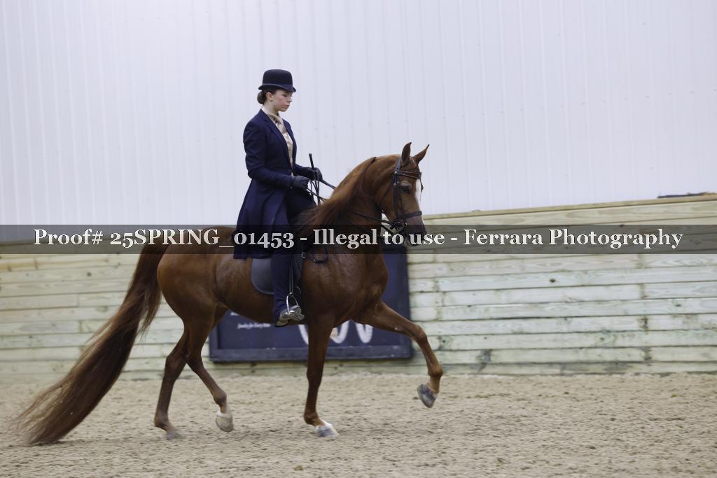 Proof Number 25SPRING_01453