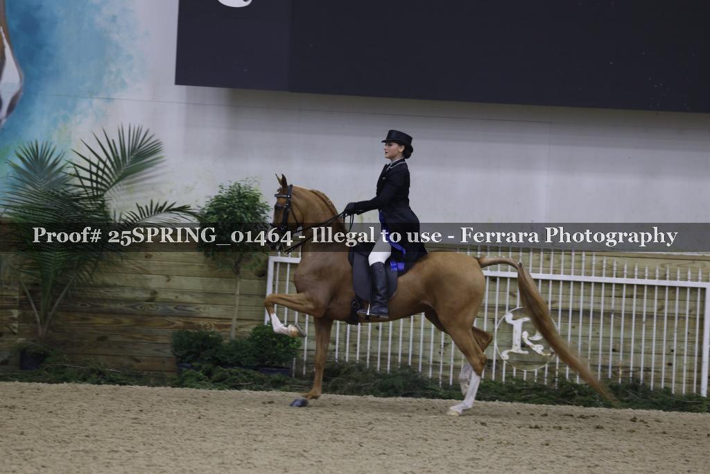 Proof Number 25SPRING_01464