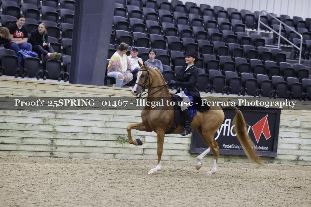 Proof Number 25SPRING_01467