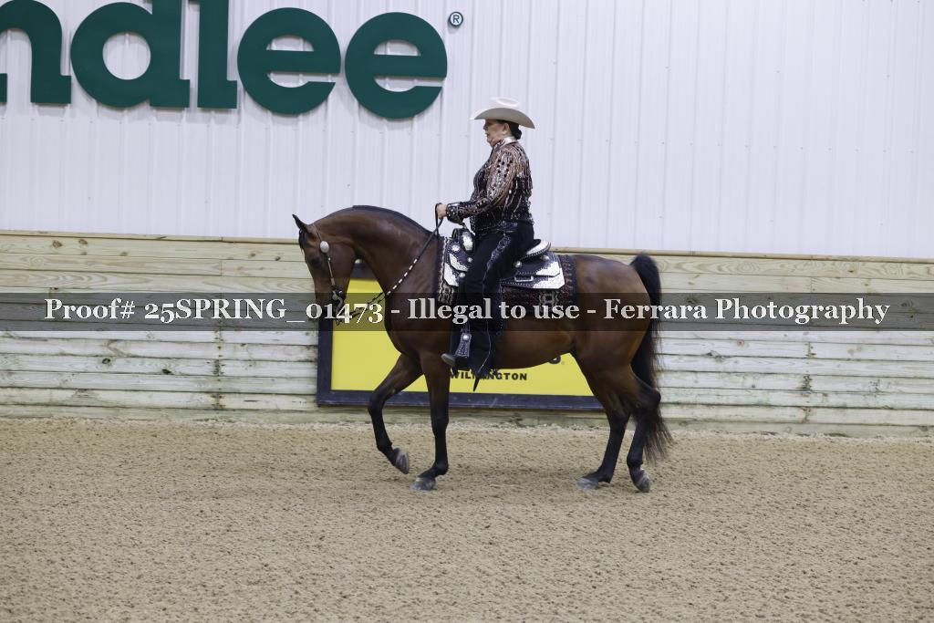 Proof Number 25SPRING_01473