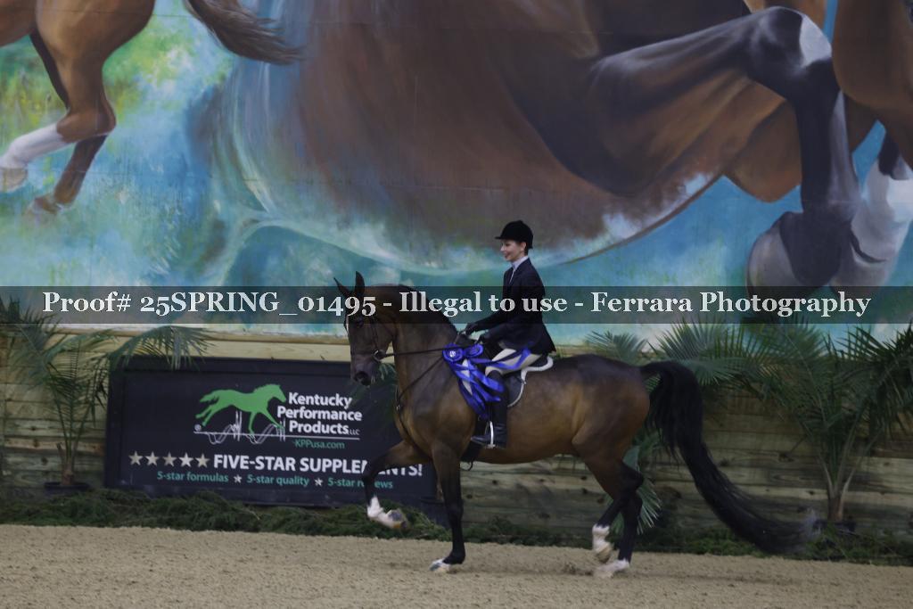 Proof Number 25SPRING_01495