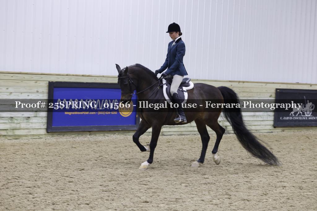 Proof Number 25SPRING_01566