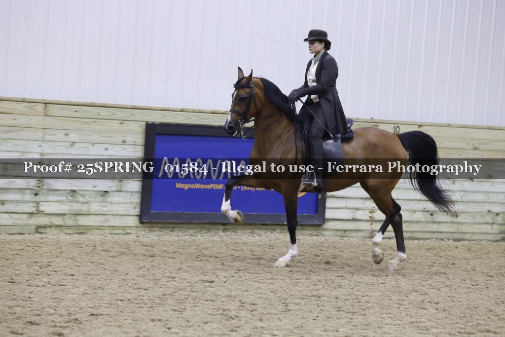 Proof Number 25SPRING_01584