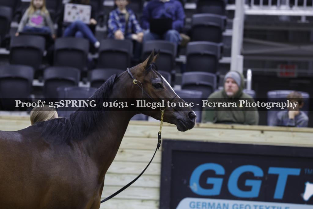 Proof Number 25SPRING_01631