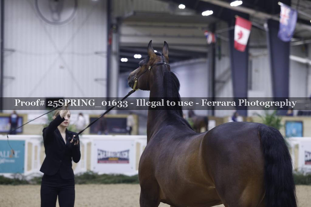 Proof Number 25SPRING_01633
