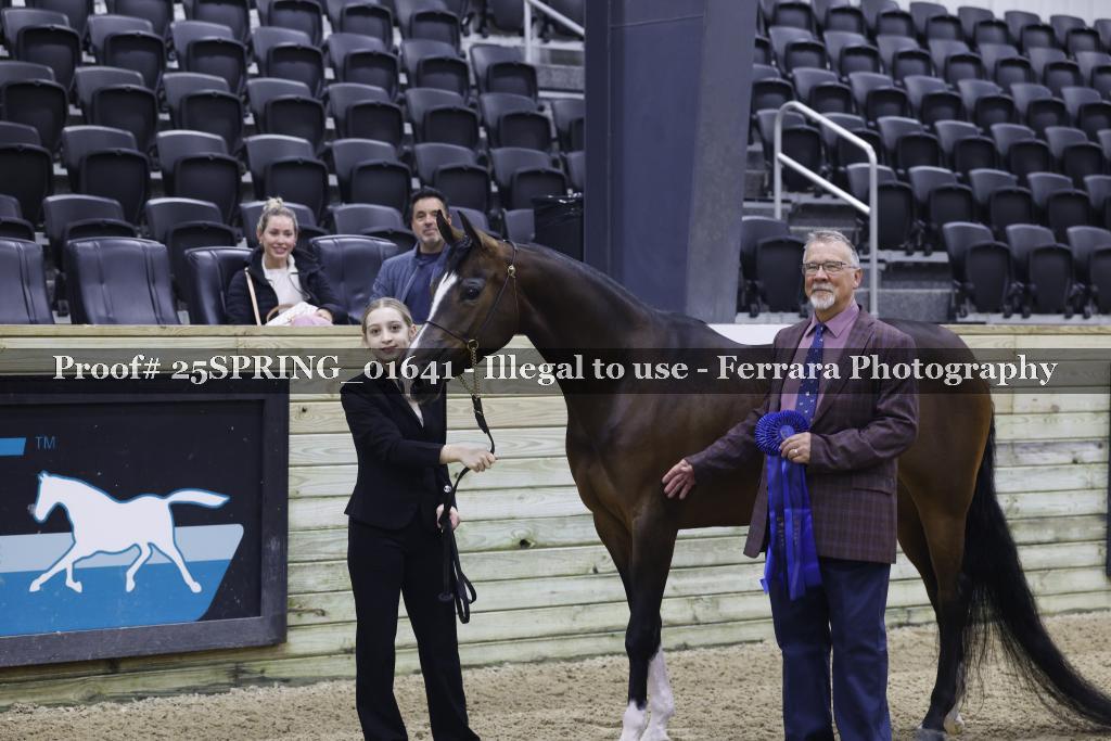 Proof Number 25SPRING_01641