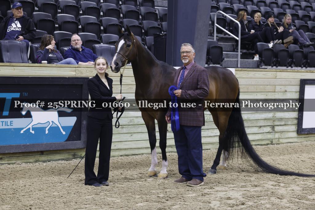 Proof Number 25SPRING_01660