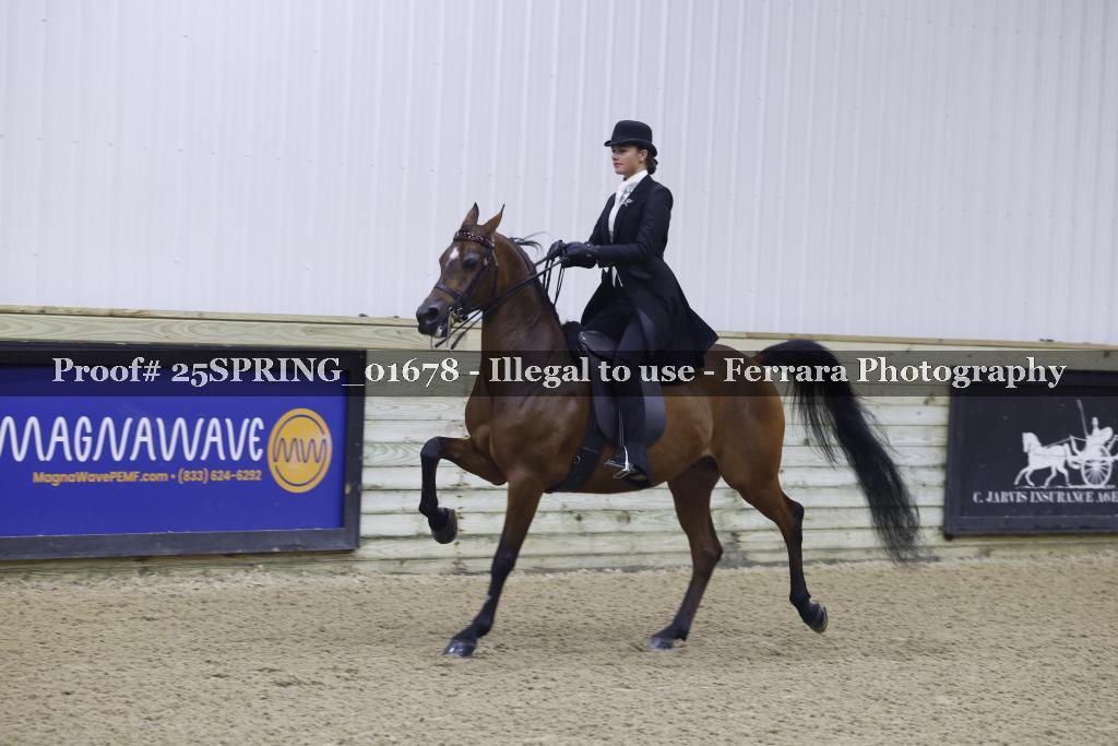 Proof Number 25SPRING_01678