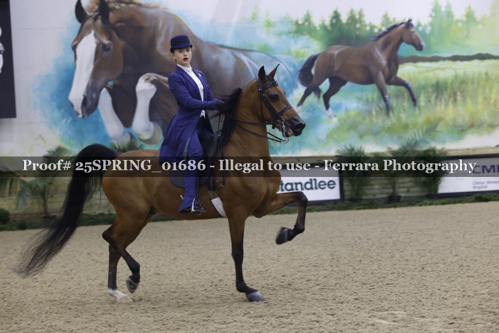 Proof Number 25SPRING_01686