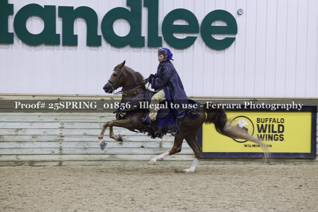 Proof Number 25SPRING_01856