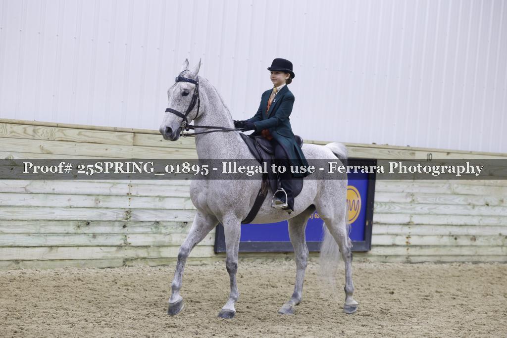 Proof Number 25SPRING_01895
