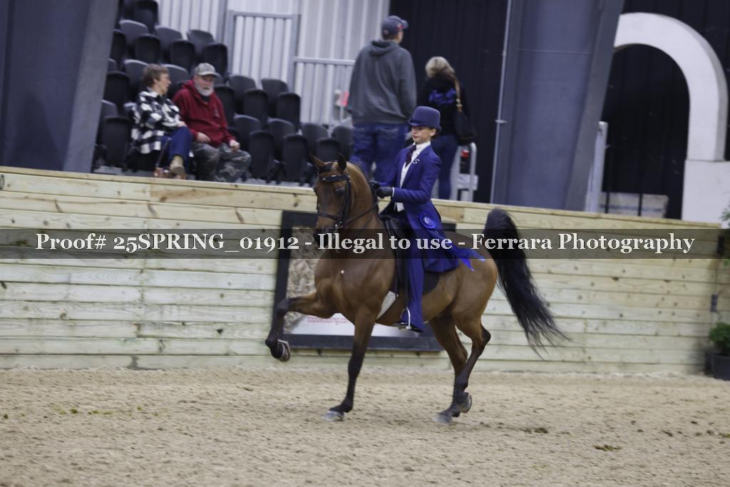 Proof Number 25SPRING_01912