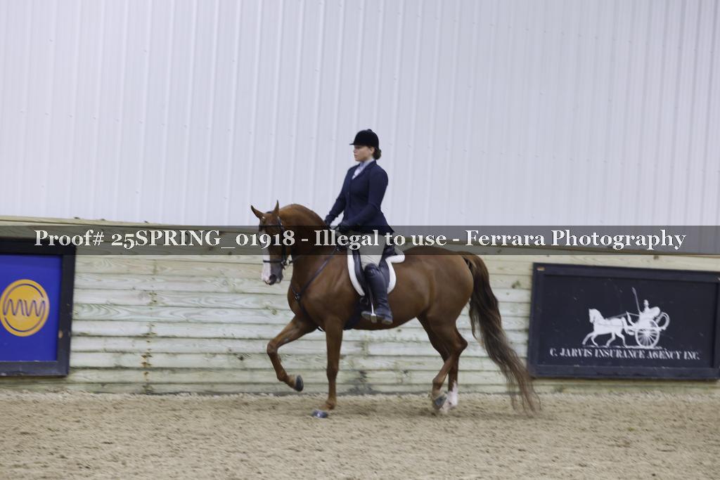 Proof Number 25SPRING_01918