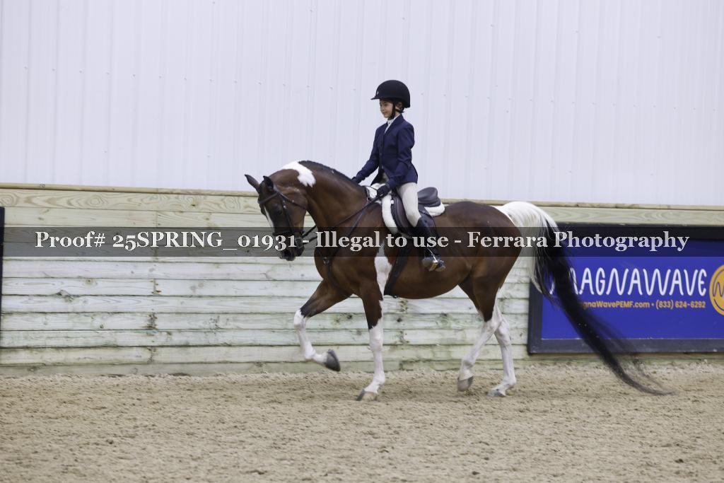 Proof Number 25SPRING_01931
