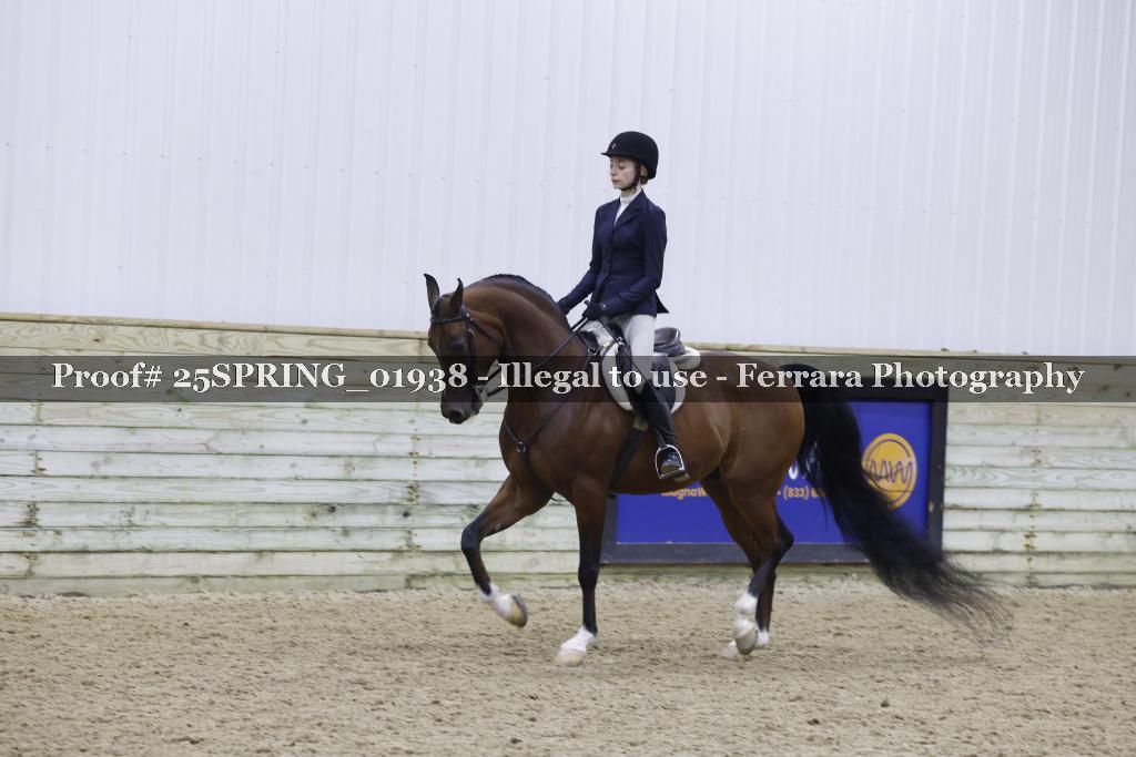 Proof Number 25SPRING_01938