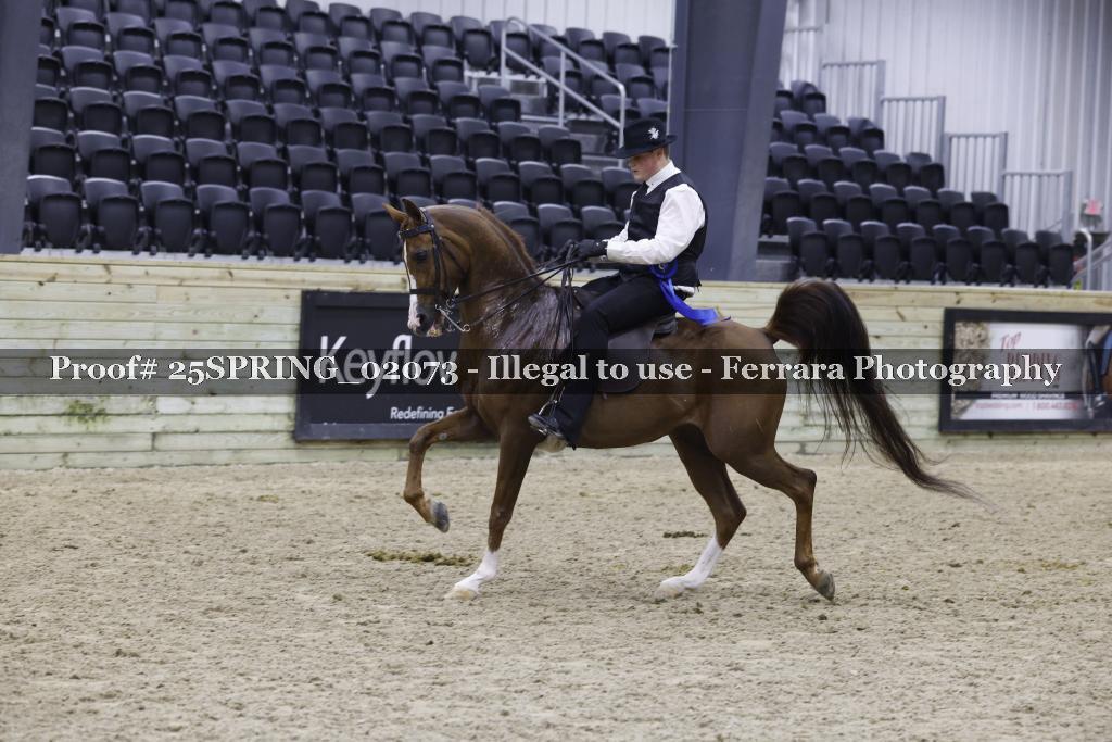 Proof Number 25SPRING_02073