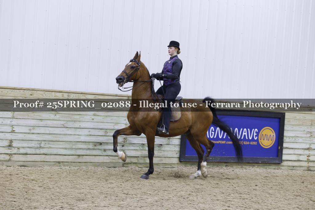 Proof Number 25SPRING_02088