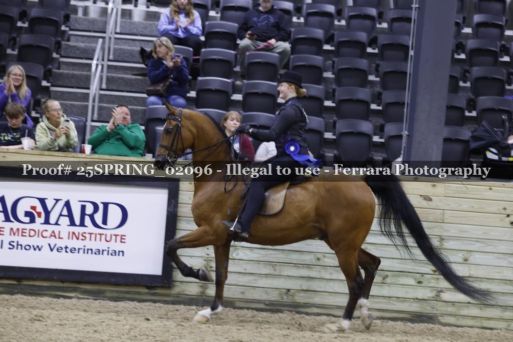 Proof Number 25SPRING_02096