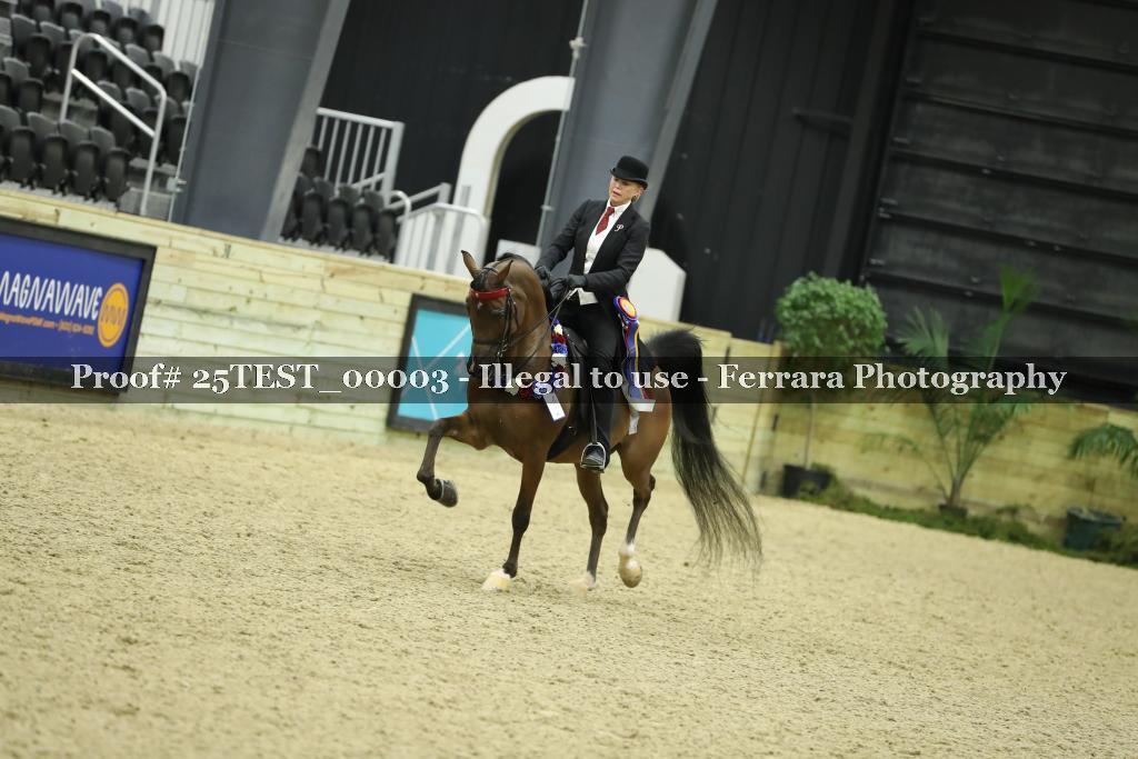 Proof Number 25TEST_00003