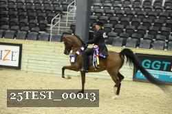 25TEST_00013 thumbnail
