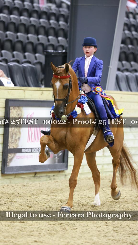 Proof Number 25TEST_00022