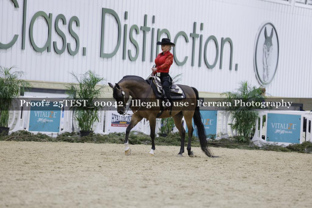 Proof Number 25TEST_00042