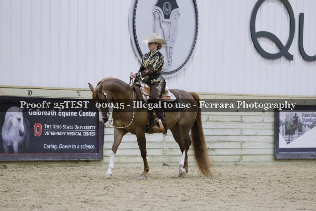 Proof Number 25TEST_00045