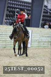 25TEST_00052 thumbnail